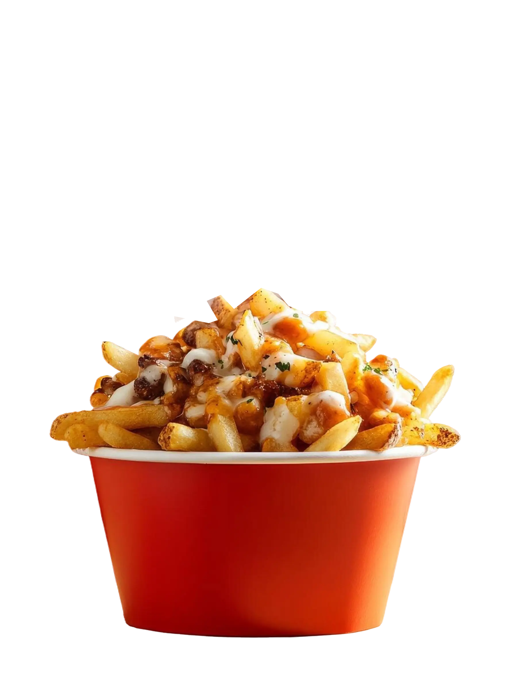 Mutton Biryani - Daily Special