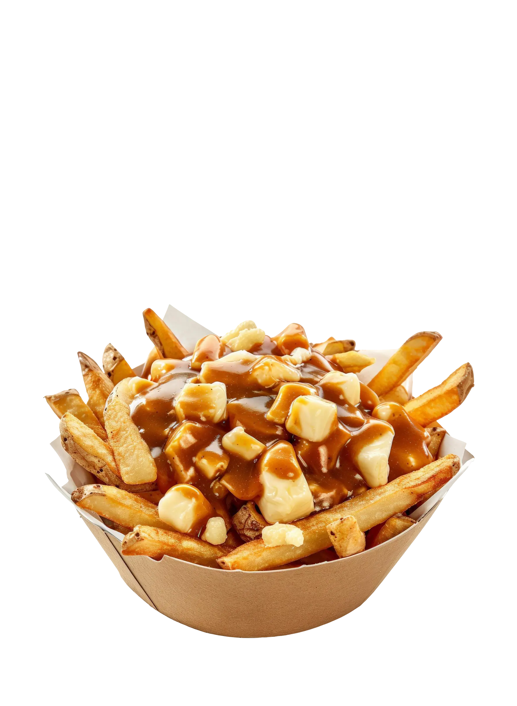 Poutine Biryani - Daily Special