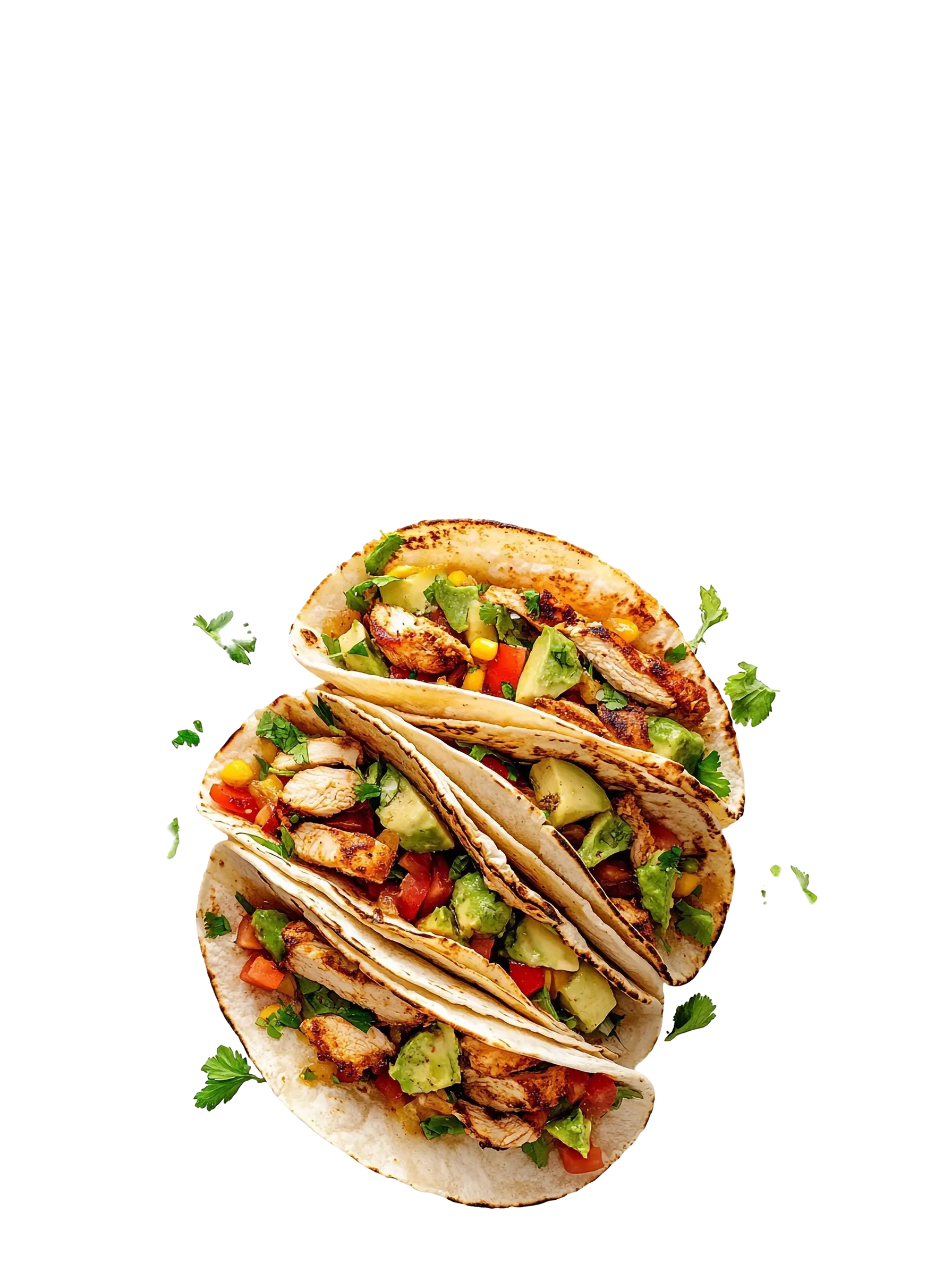 Quesadilla - Daily Special